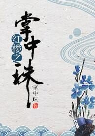 （BG/紅樓夢同人）紅樓之掌中珠