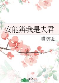 安能辨我是夫君