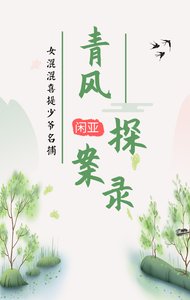 青风探案录