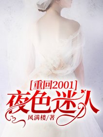 重回2001：夜色迷人