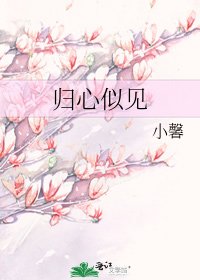 归心似见