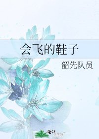 《會飛的鞋子》