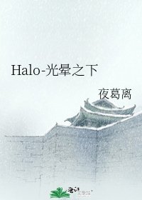 《Halo-光暈之下》