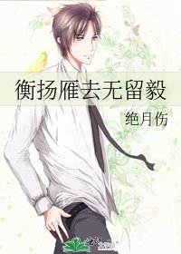 《衡揚雁去無留毅》