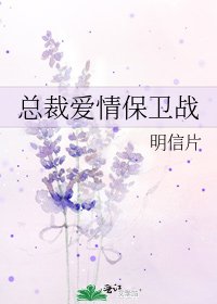 《總裁愛情保衛戰》