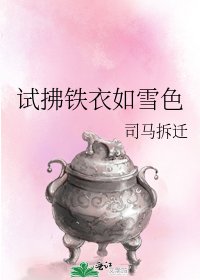 试拂铁衣如雪色