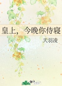皇上,今晚你侍寢