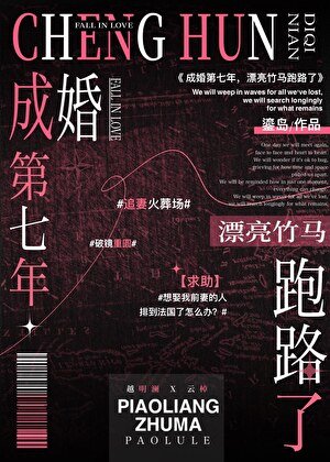成婚第七年,漂亮竹马跑路了