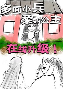 多面小兵,柔弱公主,在线升级!